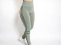 Appulse Leggings - Willow